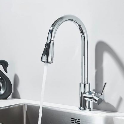 Garry - The Multifunctional Kitchen Faucet